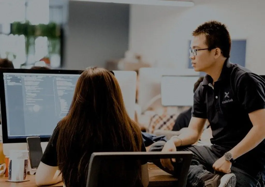 CodeLink team member